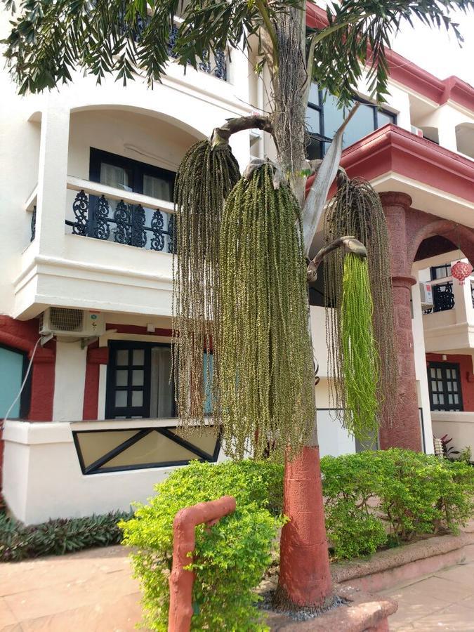 Ocean Waves Sun Baga Hotel Exterior photo
